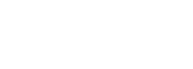 焼き鳥と向き合って